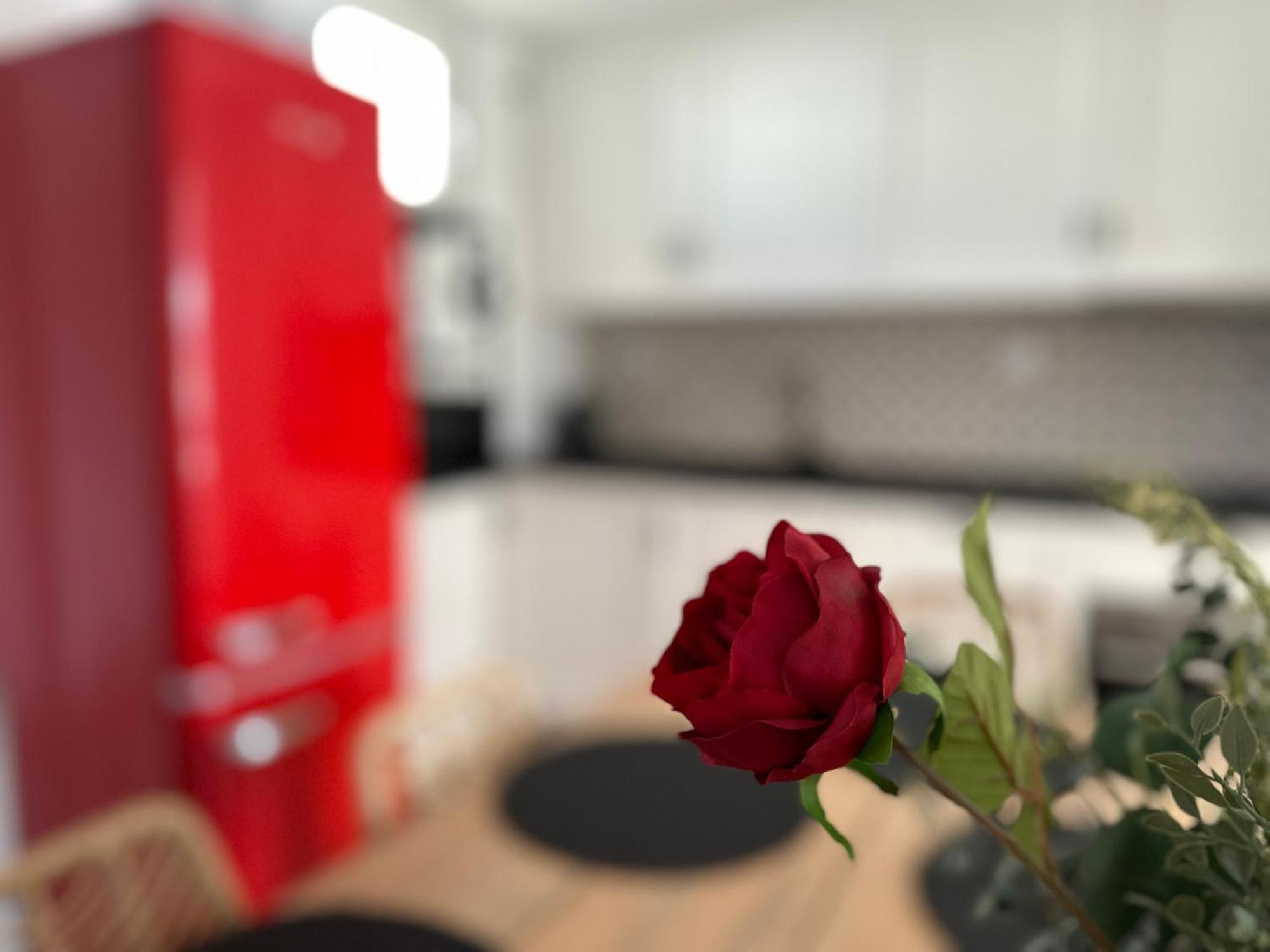 Adeva Centrico 3 Habitaciones Jerez de la Frontera Zewnętrze zdjęcie